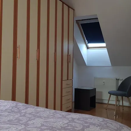 Experience * Novi Sad