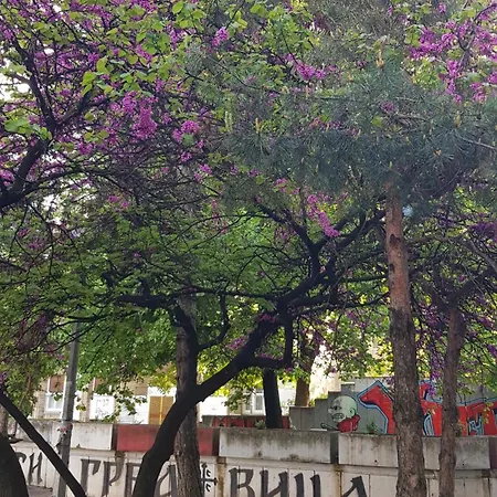 Apartment Experience Novi Sad