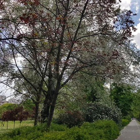 Apartment Experience *