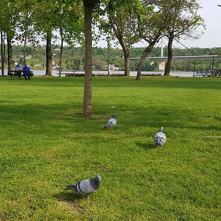 Apartment Experience *