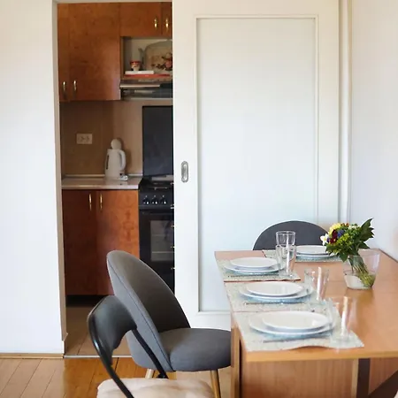 Experience * Novi Sad