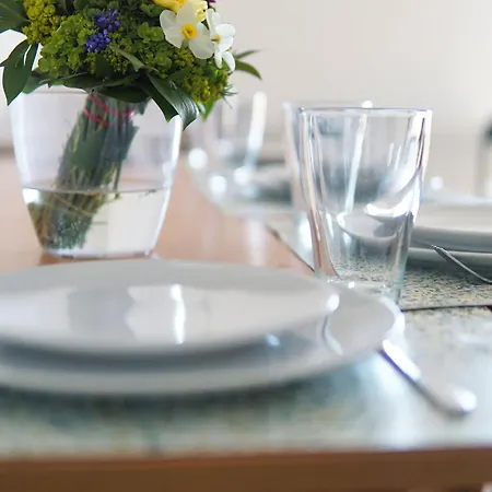 Experience * Novi Sad