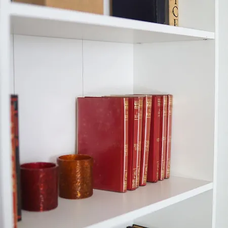 Experience * Novi Sad