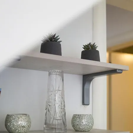 Experience * Novi Sad