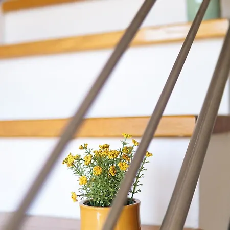 Experience * Novi Sad