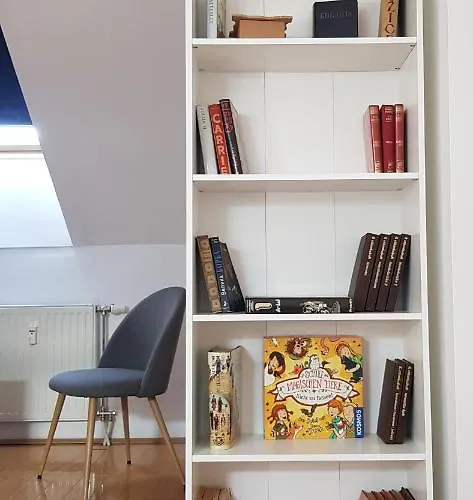 Experience * Novi Sad