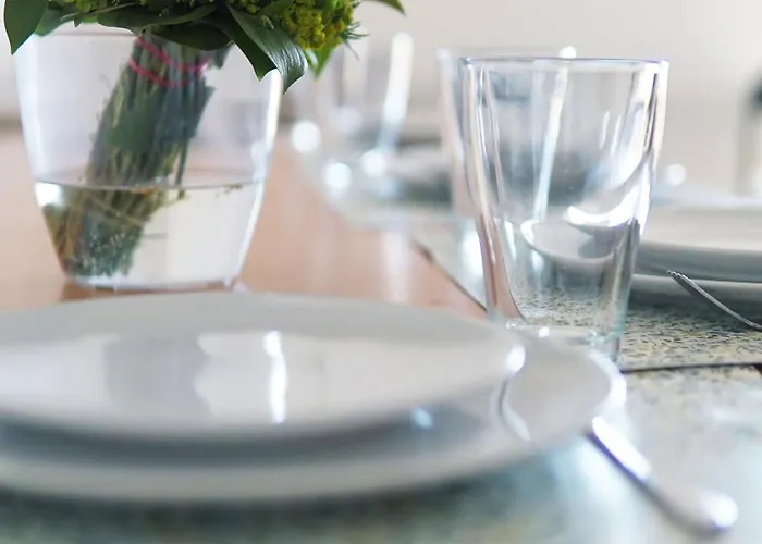 Experience * Novi Sad