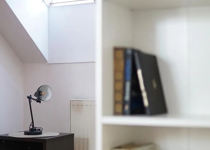 Experience * Novi Sad