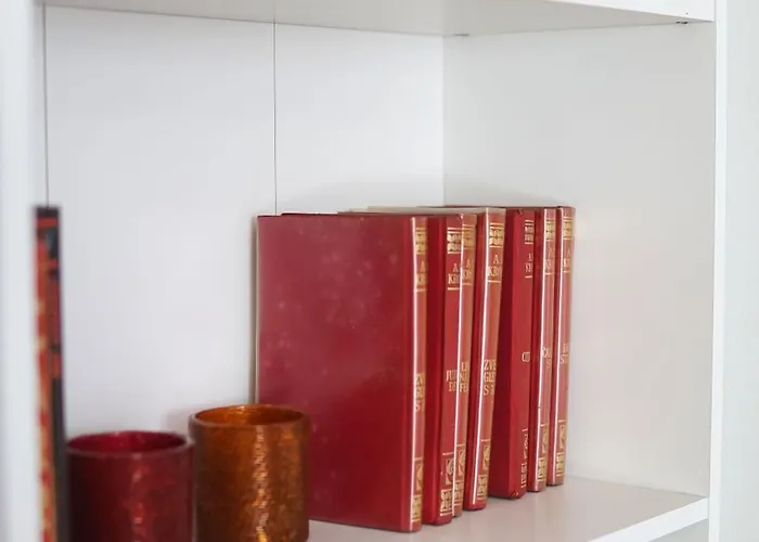 Experience * Novi Sad