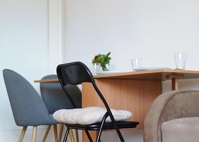 Experience * Novi Sad