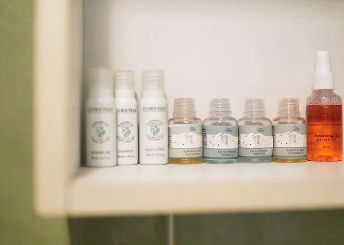 Experience * Novi Sad