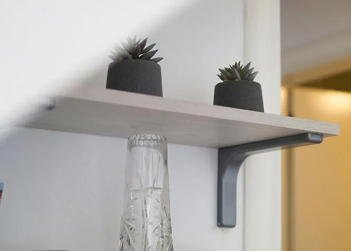 Experience * Novi Sad