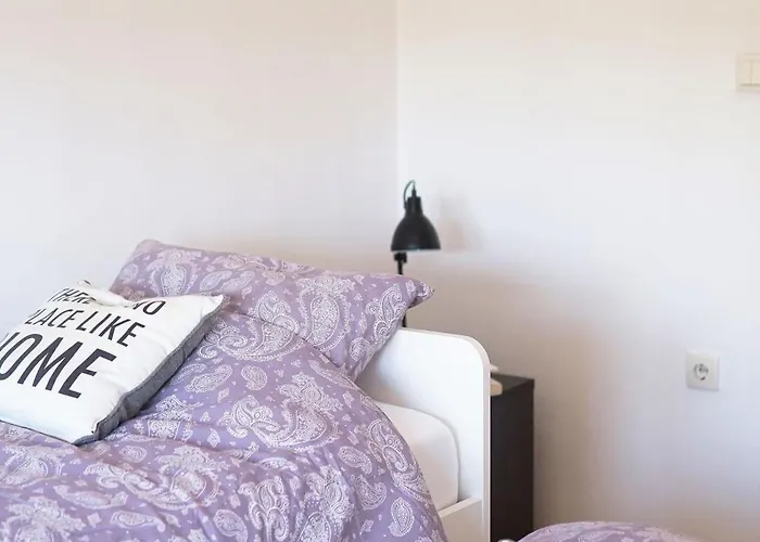 Experience * Novi Sad